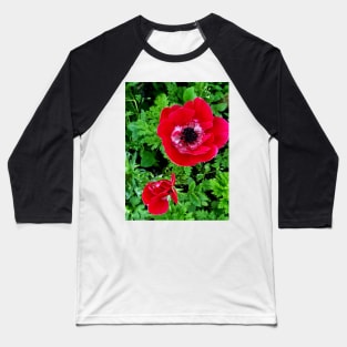 Delicate red and white anenome Baseball T-Shirt